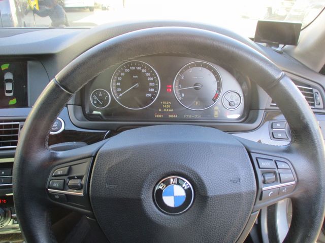 BMW BMW 5series sedan 2010