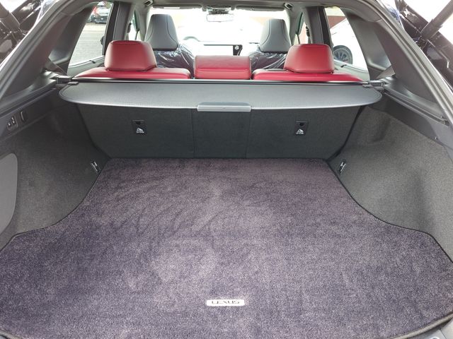 TOYOTA LEXUS RX500h 2024