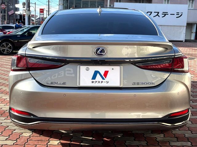 TOYOTA LEXUS ES300h 2021