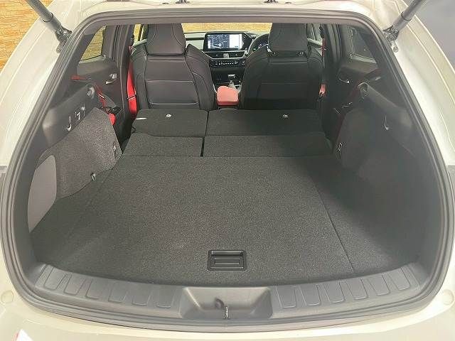 TOYOTA LEXUS UX250h 2023