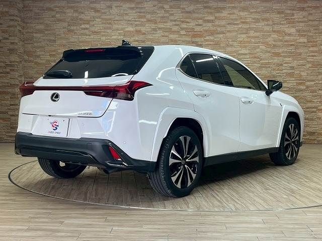 TOYOTA LEXUS UX250h 2023