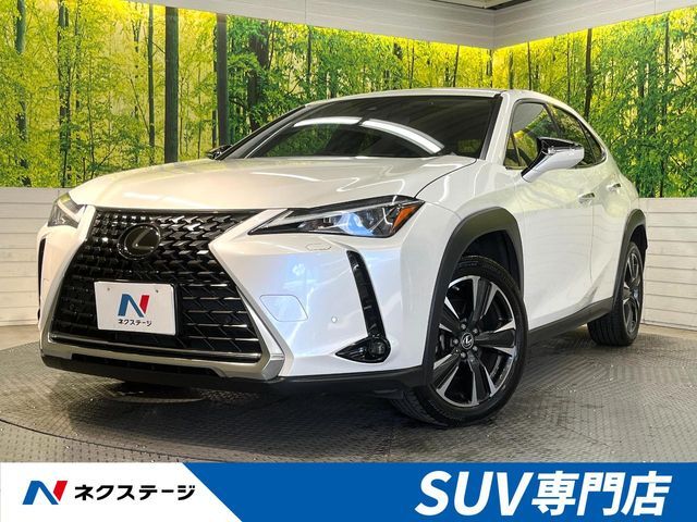 TOYOTA LEXUS UX200 2020