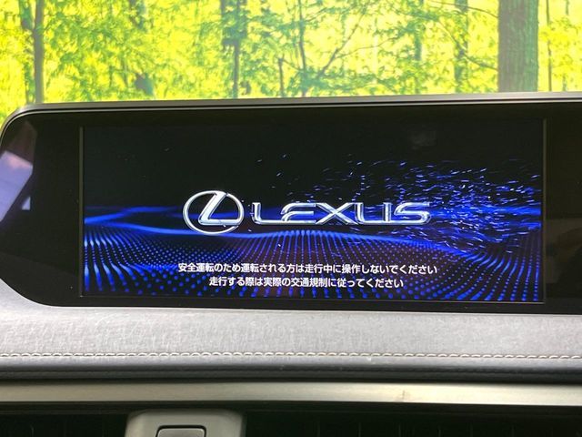 TOYOTA LEXUS UX200 2020
