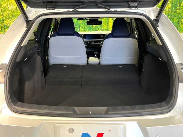 TOYOTA LEXUS UX200 2020