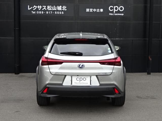 TOYOTA LEXUS UX250h 2019