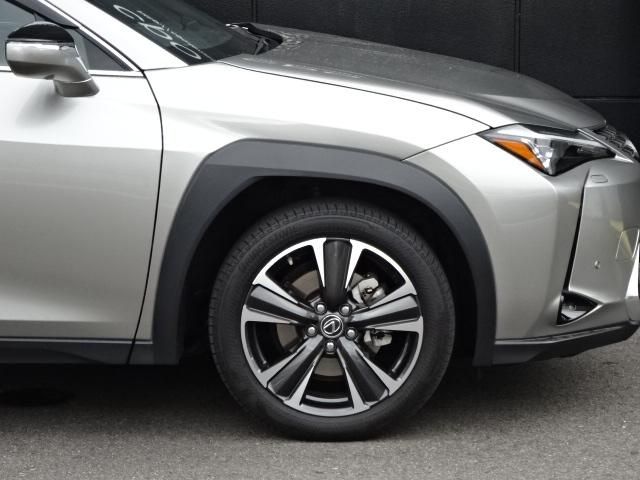 TOYOTA LEXUS UX250h 2019