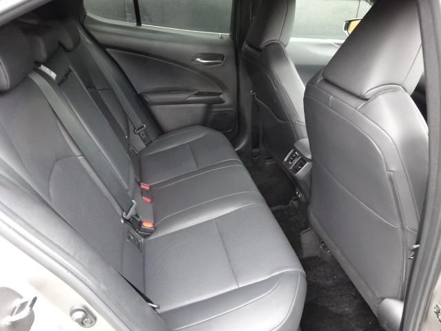 TOYOTA LEXUS UX250h 2019