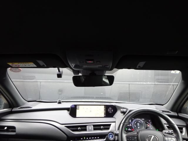 TOYOTA LEXUS UX250h 2019