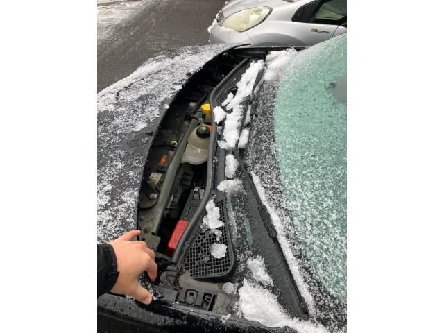 MCC SMART FORFOUR 2017