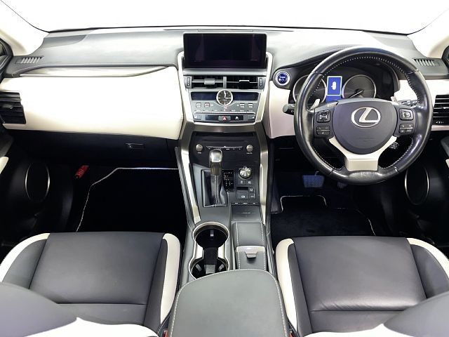 TOYOTA LEXUS NX300h 2019