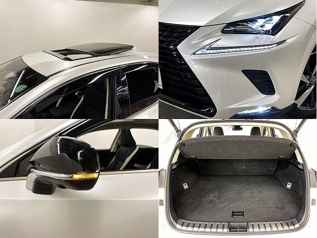 TOYOTA LEXUS NX300h 2019