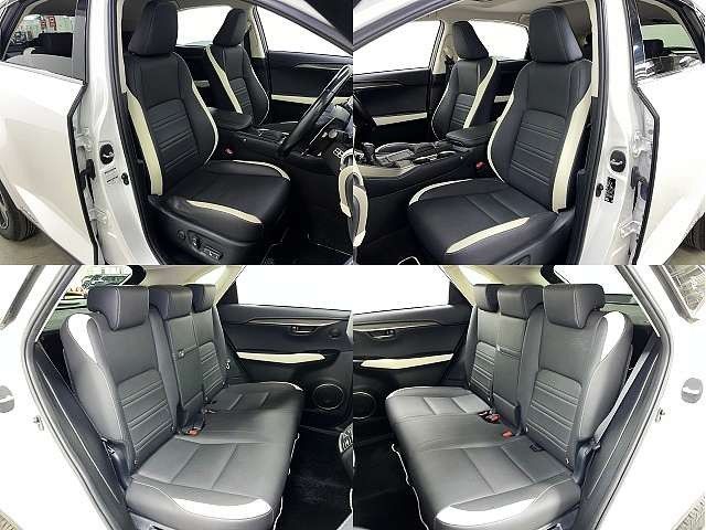 TOYOTA LEXUS NX300h 2019