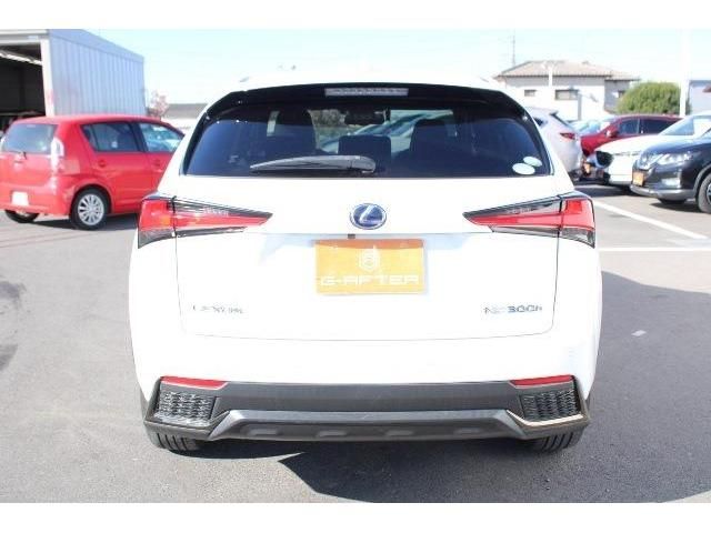 TOYOTA LEXUS NX300h AWD 2017