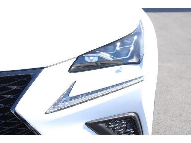 TOYOTA LEXUS NX300h AWD 2017