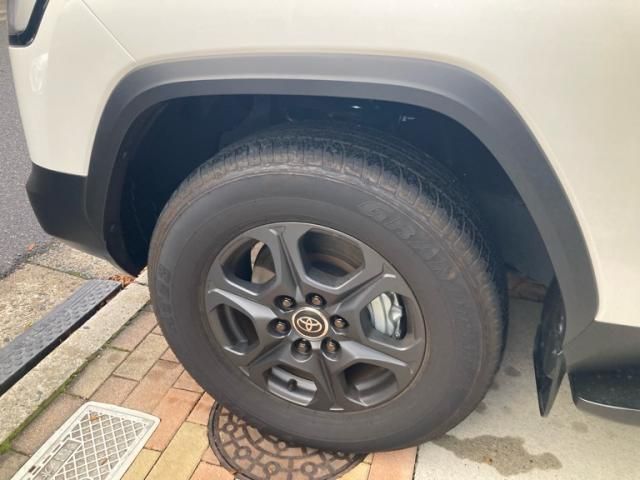 TOYOTA LANDCRUISER wagon 2024