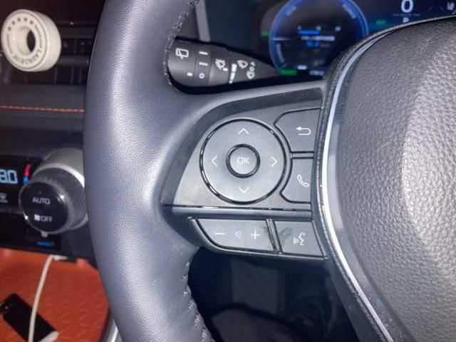 TOYOTA RAV4 HYBRID 4WD 2024