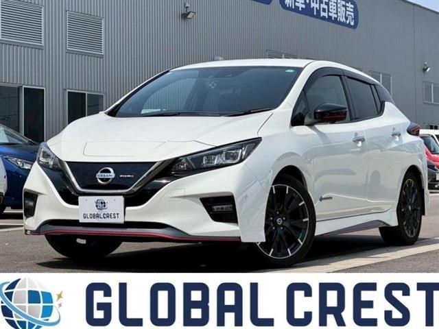 NISSAN LEAF 2019