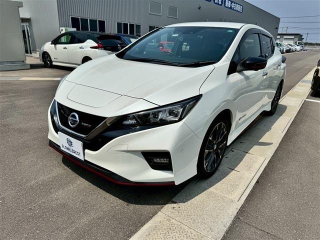 NISSAN LEAF 2019