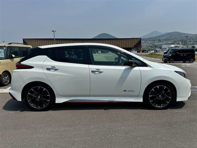 NISSAN LEAF 2019