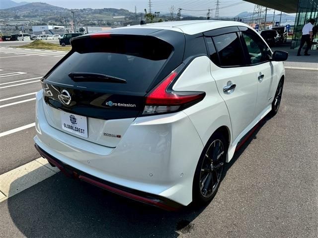 NISSAN LEAF 2019