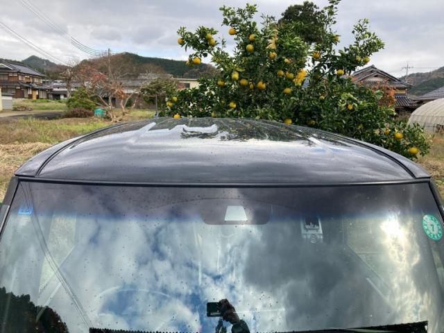 HONDA N BOX CUSTOM 2017