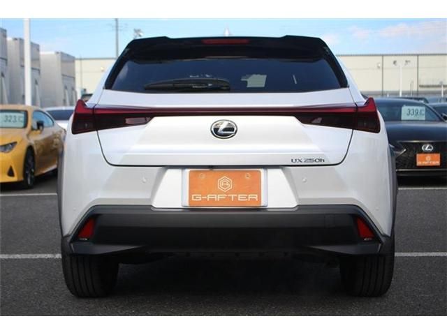 TOYOTA LEXUS UX250h 2023