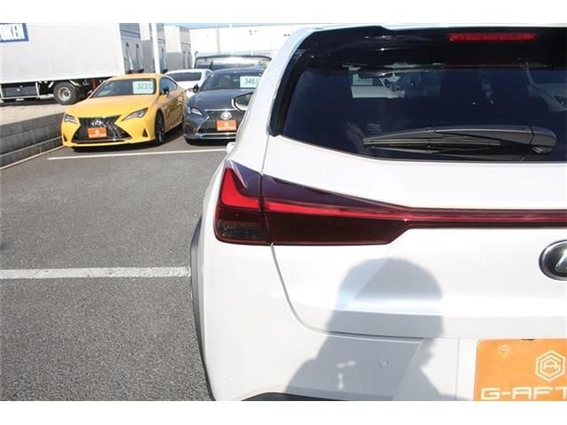 TOYOTA LEXUS UX250h 2023