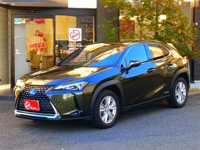 TOYOTA LEXUS UX250h 2021