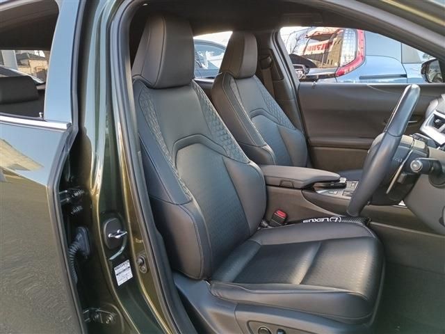 TOYOTA LEXUS UX250h 2021