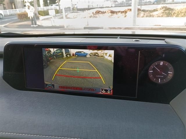 TOYOTA LEXUS UX250h 2021