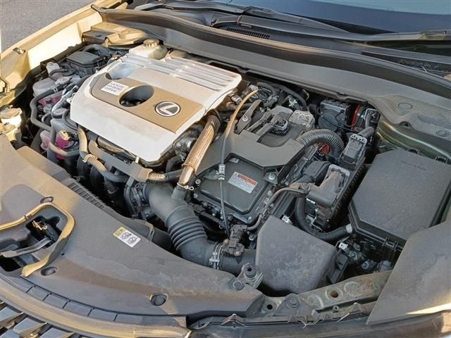 TOYOTA LEXUS UX250h 2021