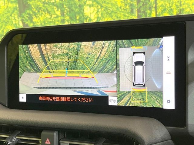 TOYOTA LANDCRUISER 250 2024