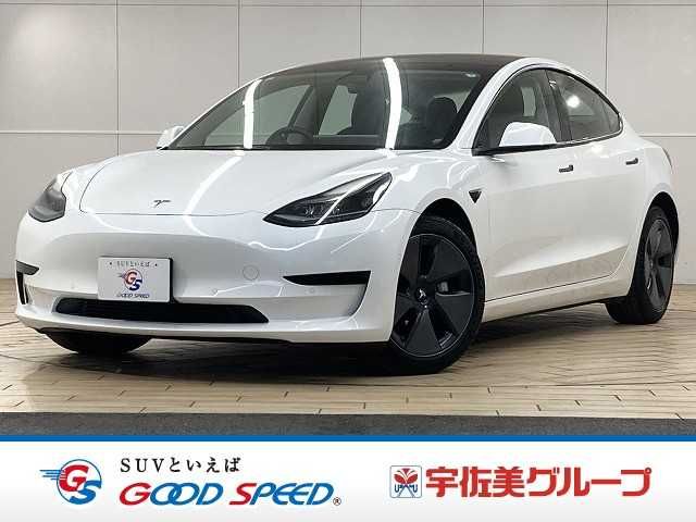 TESLA TESLA MODEL 3 2021