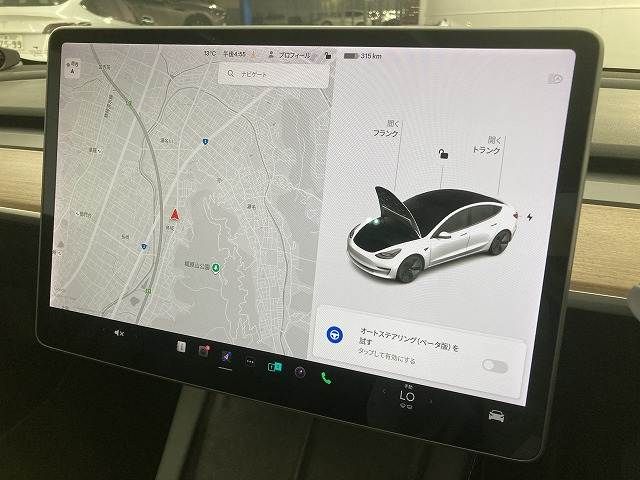 TESLA TESLA MODEL 3 2021