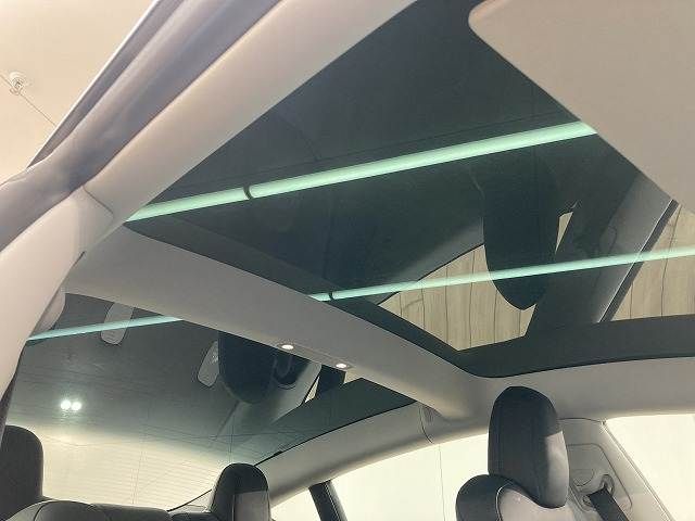 TESLA TESLA MODEL 3 2021