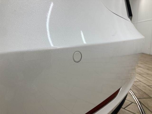 TESLA TESLA MODEL 3 2021