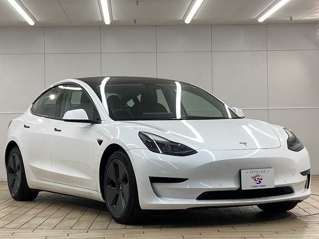 TESLA TESLA MODEL 3 2021