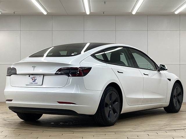 TESLA TESLA MODEL 3 2021