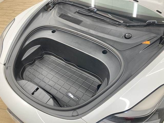 TESLA TESLA MODEL 3 2021