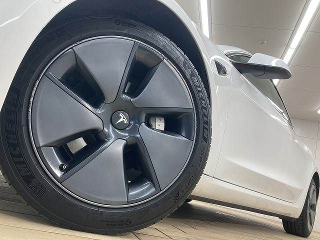 TESLA TESLA MODEL 3 2021