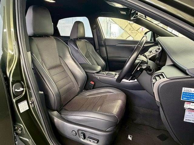 TOYOTA LEXUS NX300h 2020