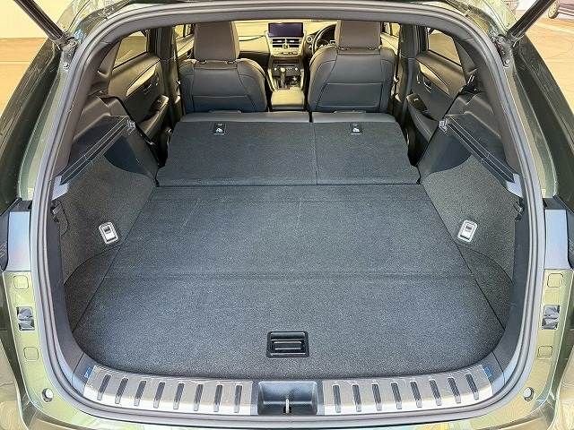 TOYOTA LEXUS NX300h 2020