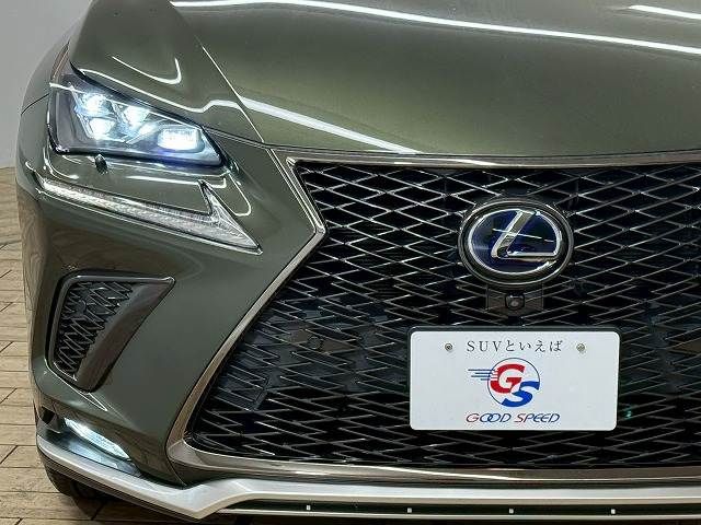 TOYOTA LEXUS NX300h 2020