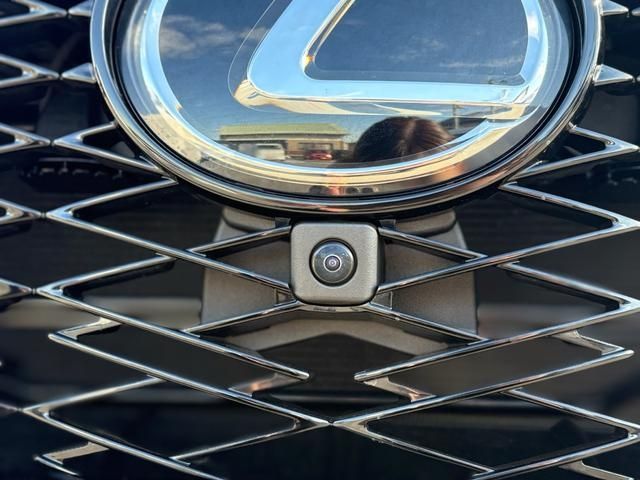 TOYOTA LEXUS NX450h+ AWD 2023