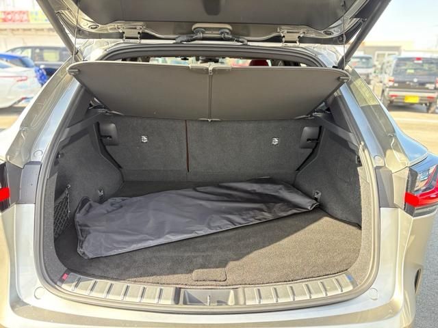 TOYOTA LEXUS NX450h+ AWD 2023