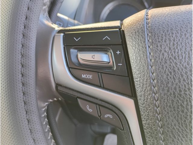 TOYOTA LANDCRUISER PRADO 2019