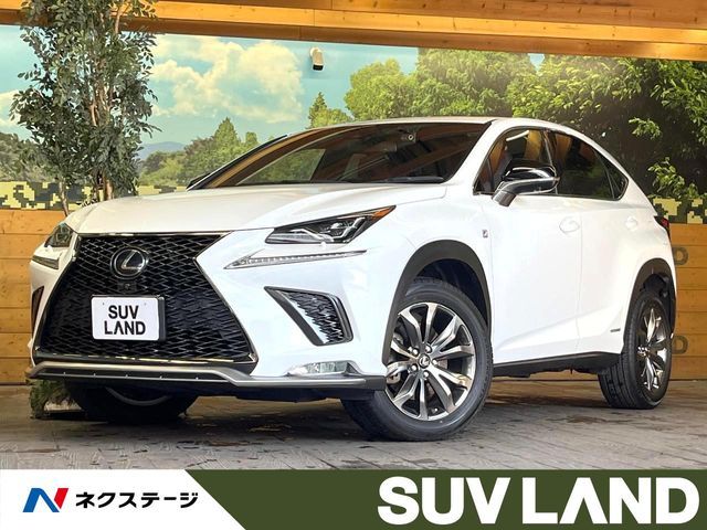 TOYOTA LEXUS NX300h 2021