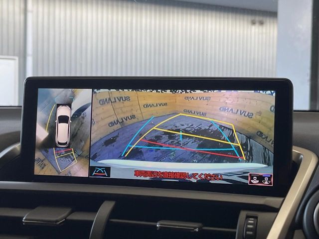 TOYOTA LEXUS NX300h 2021