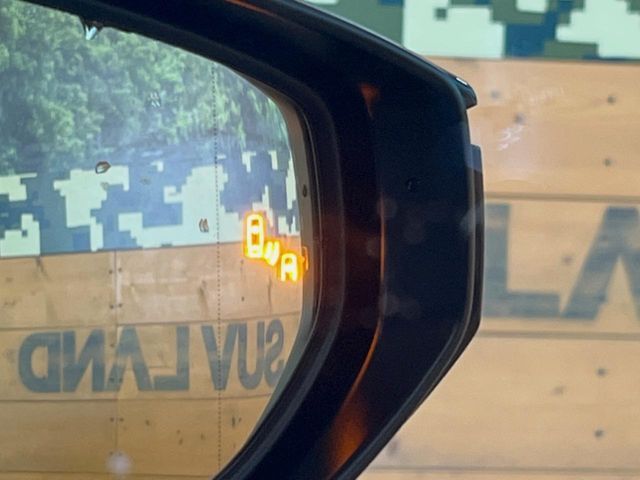 TOYOTA LEXUS LBX 2024