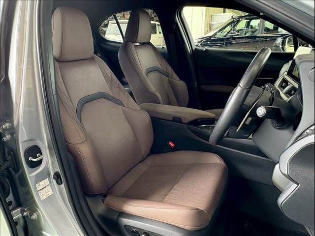 TOYOTA LEXUS UX250h 2022